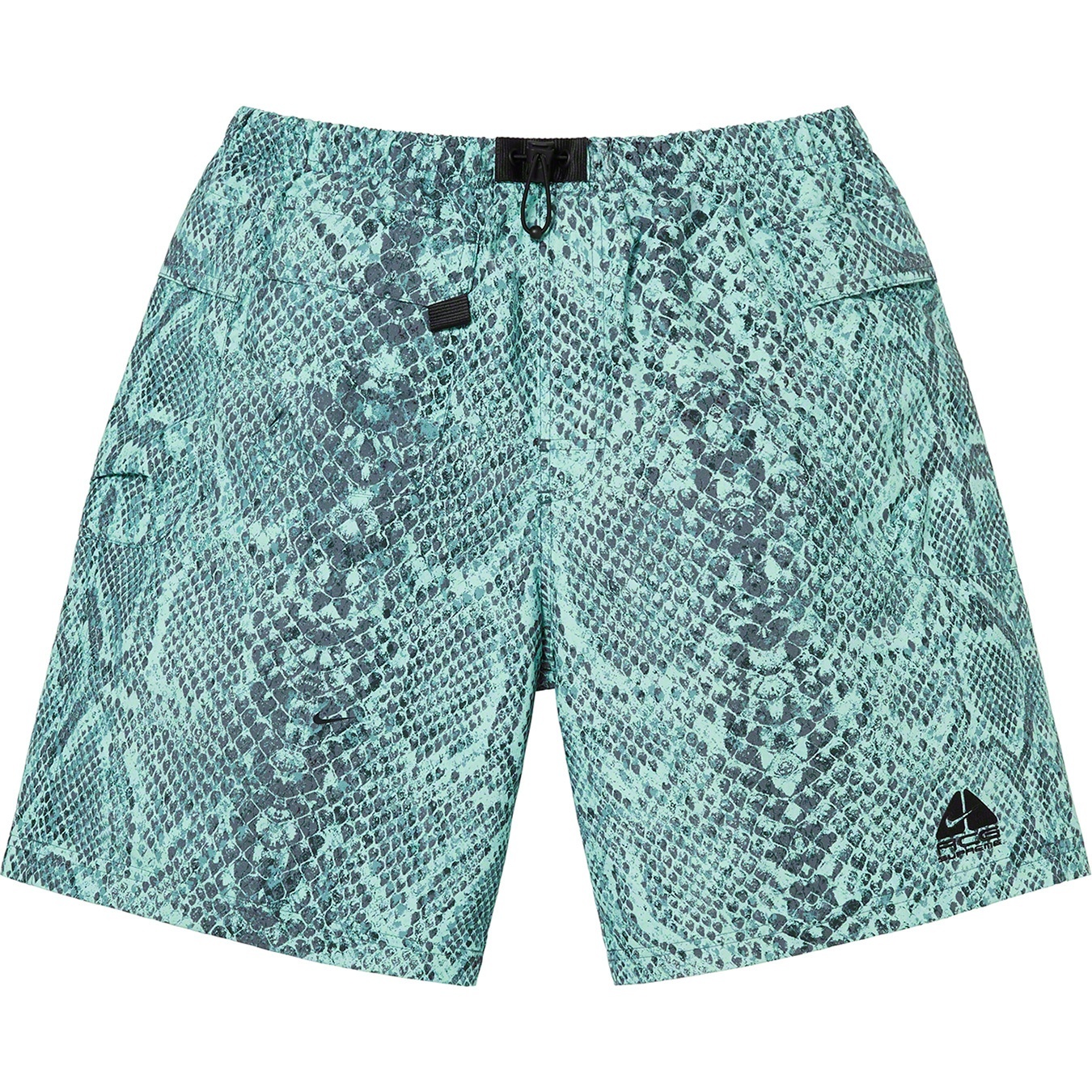 Supreme®/Nike® ACG Nylon Trail Short view 5